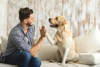 Mann mit Hund