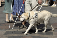 Arbeitshund