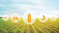 Landwirtschaft Feld und Icons